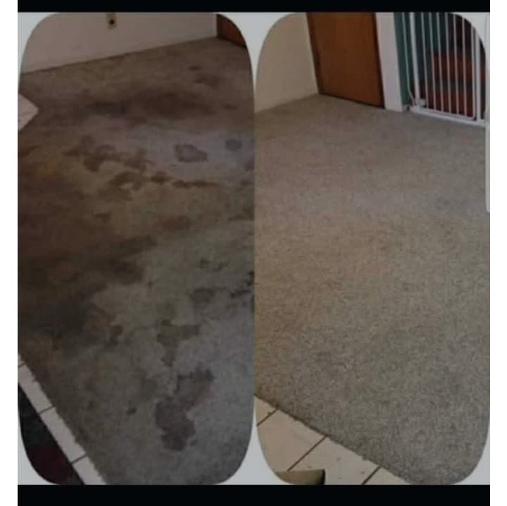 Heavily stained living room carpet before and after deep steam cleaning